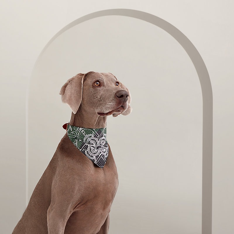 フィフィアンドロメオ 犬用 カシミアバンダナ2点セット 痒